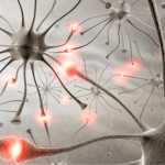 shutterstock_5993554