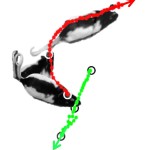 Burst sequence